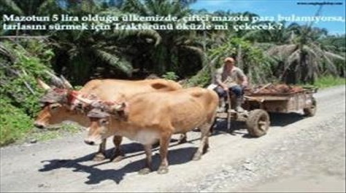 Traktörünü Öküzle Mi Çekecek ?